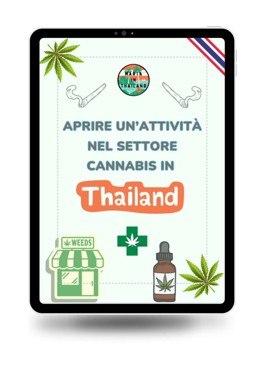 La tua guida per aprire un'attività nel settore cannabis in Thailandia