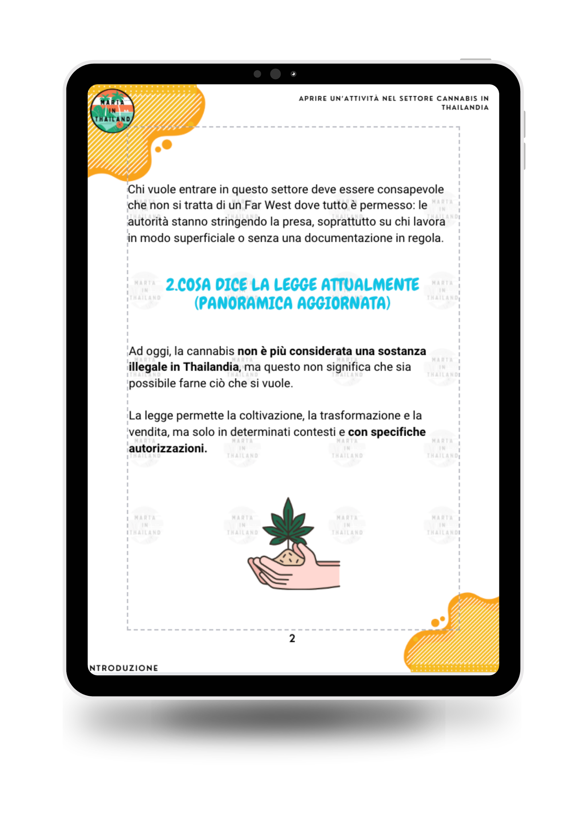 Business cannabis Thailandia strategie branding clienti e differenziazione mercato locale