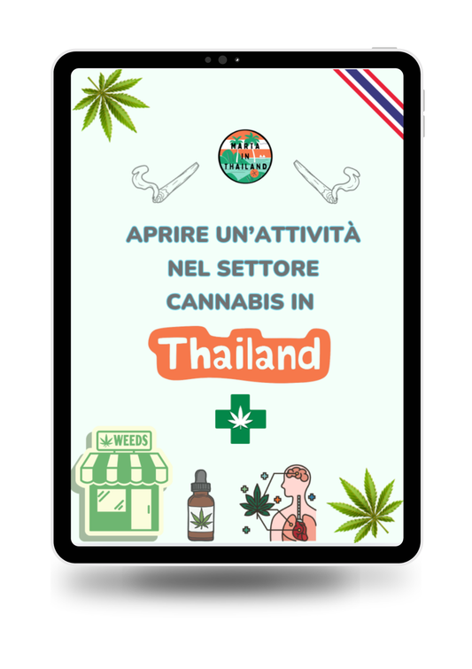 Guida cannabis Thailandia per investire e aprire attività legale con normative aggiornate 2026
